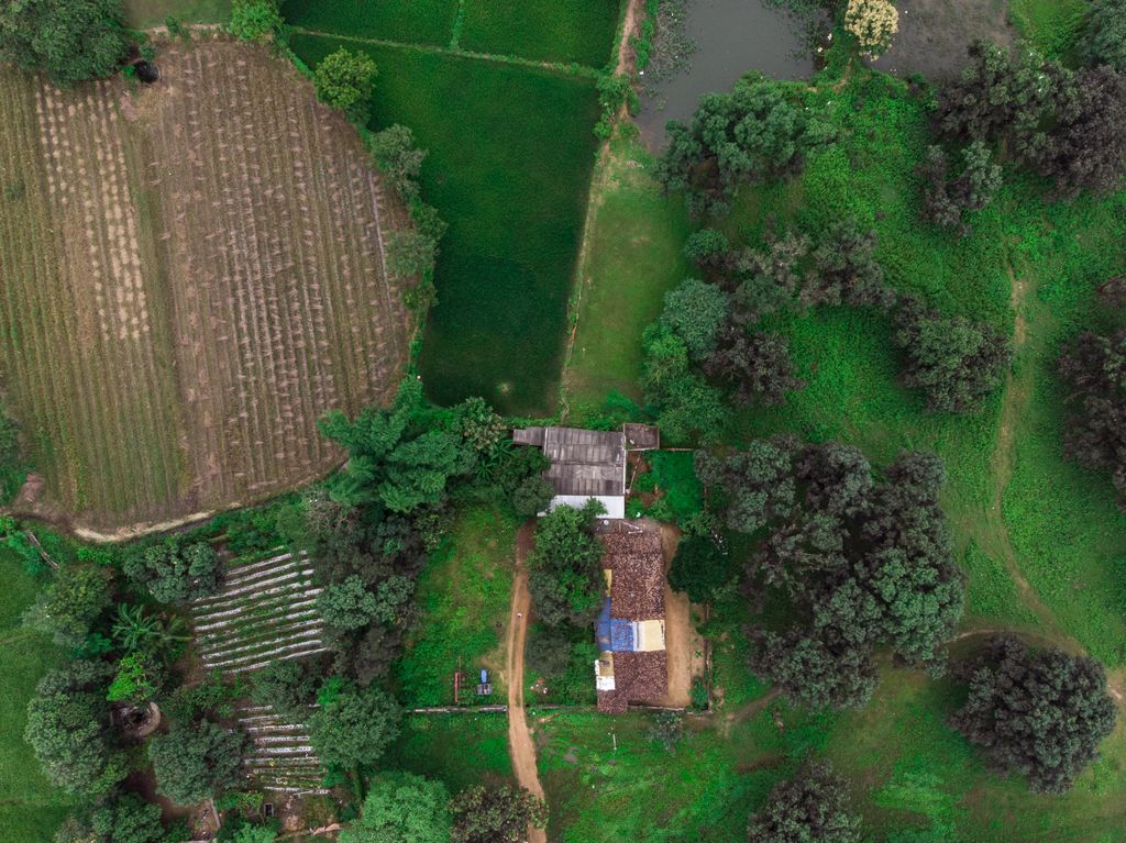 Aerial view of lush green farmland and a small rural house in Chandigarh, India.